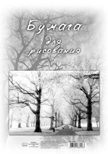 Бумага для рисования А4 40л