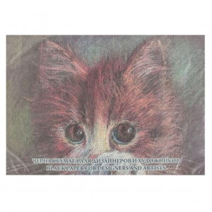 Рисовальная бумага А3 (297*420мм) 10л. пл. 200 г/м ЧЕРНАЯ