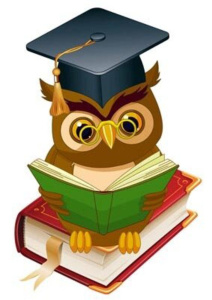 Вырубной плакат "Сова" 42*60см на скотче