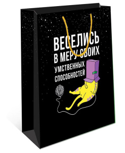 Пакет подар. бумажн. 18*23*10 см, 130гр/м В меру своих способностей