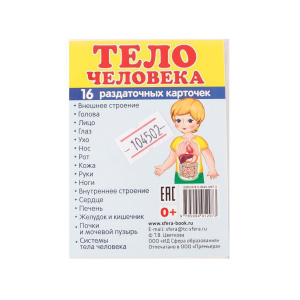 Картинки демонстративные "Тело человека" набор 16 шт. 63*87мм