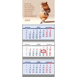 Календарь Трио  295*700мм на 2026г. Посмотри, какая ты красивая!"