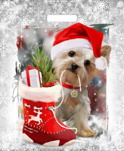 Пакет с вырубной усил. ручкой 38х45 (60мк) Дружок, глянец (ПВД)