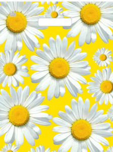 Пакет 45*34см (30мк) с вырубной укрепл. ручкой "Солнечные ромашки" ПНД