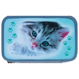 Пенал 3 отд. (205*125*55) молния, лам.картон "Серый котенок на полу"