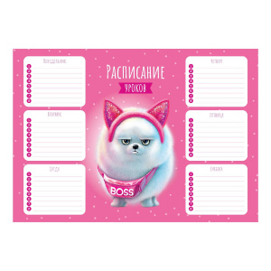 Расписание уроков А4 "Босс шпиц" выб. УФ-лак, 235гр/м2
