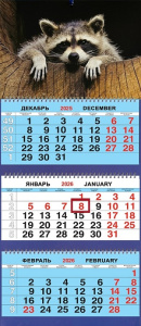 Календарь Трио  310*690мм на 2026г.  Животные. Енот