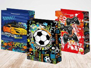 Пакет подар. бумажн. 14*20*8см, 140гр/м Микс мужской