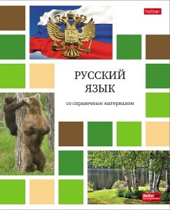 Тетрадь предметная А5 Русский язык, "Цветная мозаика" 48л, лин., обл.мел.бум., бел.100%