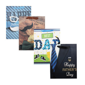 Пакет подар. бумажн. 32*25*11 см, Мужской, 210гр, 4 дизайна на выбор