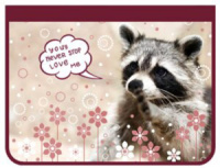 Папка для труда А4 1 отд. молн. вокруг Енот, ткань, ламинат