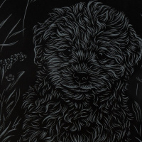 Гравюра-скретчинг 18*24см с эффектом голграфик Животные "Мальтипу" 6+