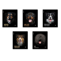 Тетрадь А5  96л кл. Erich Krause "Собаки", матовая ламинация+выборочный УФ-лак MIX-PACK