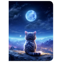 Тетрадь А5 120л кл. на кольцах Полиграф-Принт "Лунный кот" пластик.обл.