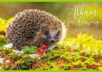 Альбом А4 12л скоба "Ассорти"  пл. 100 г/м