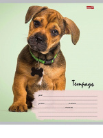 Тетрадь А5 12л косая лин. с доп.горизонт.лин. Проф-Пресс "Милые щенки - 6" 5диз.в сп.