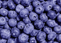 Пазлы  500 элементов  340*480мм.  "Черничное настроение"