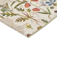 Записная книжка А5  40л. картон, мягк.пер. "Flora. Луговые травы" лин.