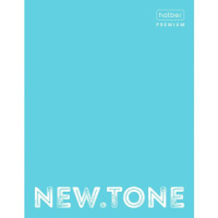 Папка на кольцах (без блока) А5 "NEWtone PASTEL Незабудка"