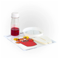 Выращивание кристаллов Монстрики "Красный"