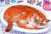 Открытка А5 "Кот"