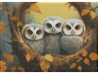 Мозаика алмазная по номерам на холсте (в рулоне)  30*40см "Осенние совы"
