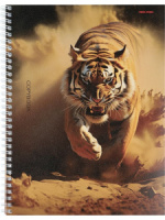 Тетрадь А4  96л кл. гребень Проф-Пресс "Природа пустыни" холст*