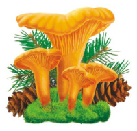 Украшение на скотче 10*12см "Лисичка"