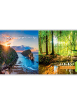 Тетрадь А5  96л кл. Проф-Пресс "Чарующие виды" перевертыш