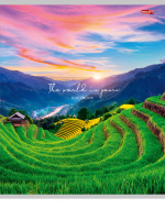 Тетрадь А5  96л ЛИН. Проф-Пресс "Очарование природы - 1" 4диз.в коробке, белизна 100%