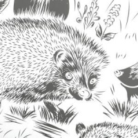 Гравюра 18*24см БЕЛАЯ голография "Ежи" 3+