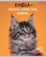 Тетрадь А5 40л кл. Hatber "Кот говорит!" белизна 98%