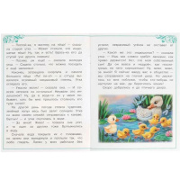 Книжка "Сказки. Андерсен Г.Х. Гадкий утёнок" 16*21см 16стр.