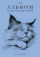 Альбом А4 48 скоба пласт.обл. "Ассорти. Выпуск №2"пл. 100 гр/м