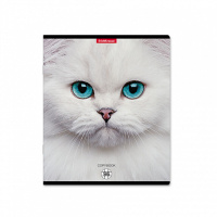 Тетрадь А5  96л кл. Erich Krause "Cats"