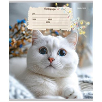 Тетрадь А5 12л косая лин. с доп.горизонт.лин. Проф-Пресс "Кошечки" 5диз.в сп.
