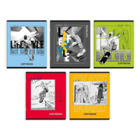 Тетрадь А5 48л кл. Феникс+ "Стиль жизни", выб.твин лак