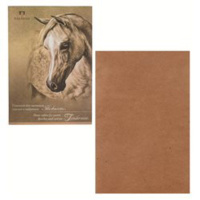 Планшет для пастели  А4 20л. "Нежность"