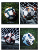 Тетрадь А5  96л кл. Проф-Пресс "Разные футбольные мячи -1" 4 диз.в коробе