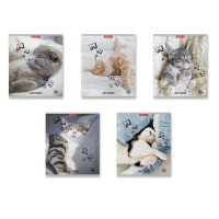 Тетрадь А5 48л кл. Erich Krause " Be Relaxed"