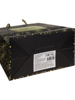 Пакет подар. бум. новогодн. 18*23*10см  Золотистый снегопад