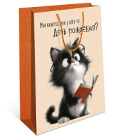 Пакет подар. бумажн. 18*23*10 см, 130гр/м2  Котик