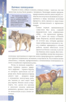 Книжка А4  32стр. "Энциклопедия. В мире знаний. Доисторический мир"