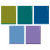 Тетрадь А5  96л кл. Hatber  пласт.обл. "PROстиль"