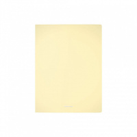 Папка 2 кольца 24 мм пластик А4 Matt Pastel ассорти