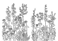 Книжка-раскраска 205*285мм  16стр."Цветочные фантазии", от 7лет