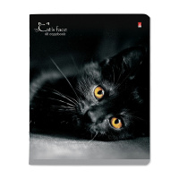 Тетрадь А5 48л  кл.,  "Кошки. Яркий взгляд" микс в спайке