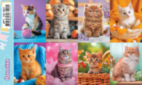 Наклейки детские 16*9см  "Котята"