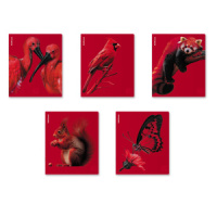 Тетрадь А5 48л кл. Erich Krause Scarlet", ламинация soft-touch+выборочный УФ-лак_MIX-PACK