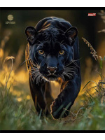 Тетрадь А5 48л кл. Проф-Пресс "Разные хищники" 5диз.в спайке, белизна 100%